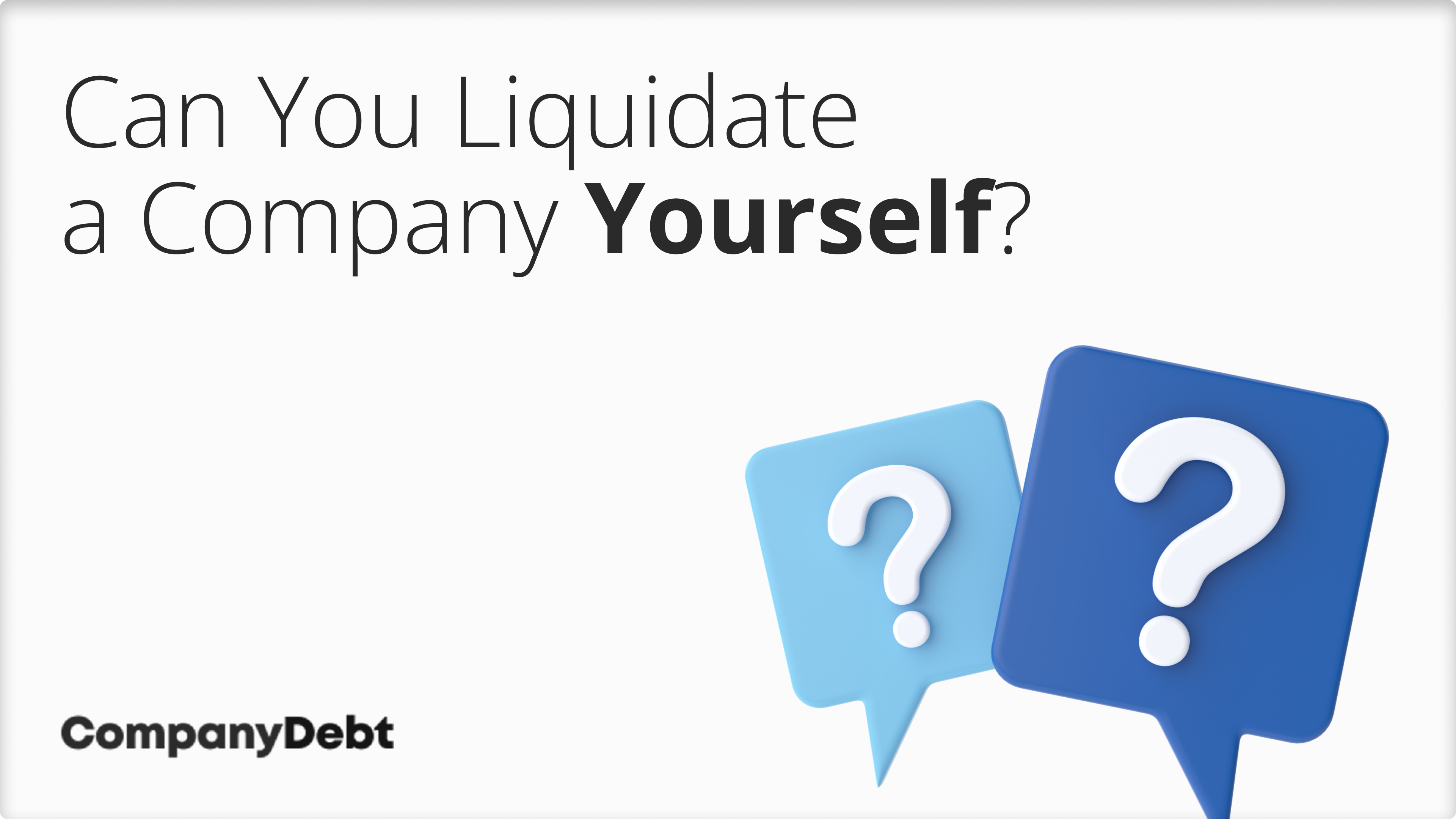 Can You Liquidate a Company Yourself?