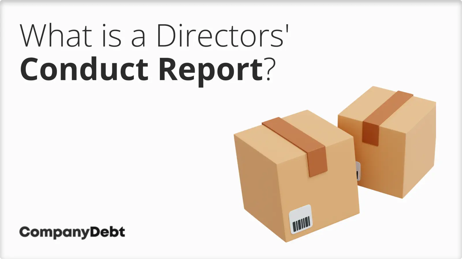 What is a Directors' Conduct Report?